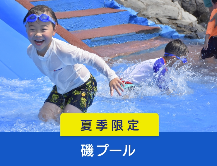 磯プール
