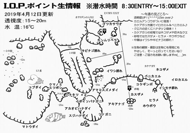 Iop伊豆海洋公園 海底地形図
