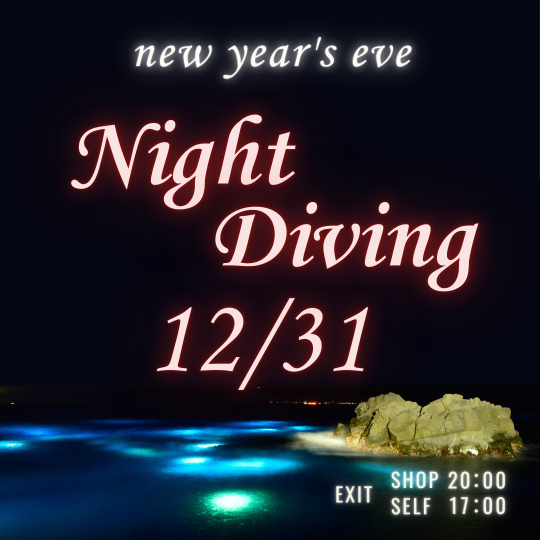 ☆大晦日ナイト2025☆ | 伊豆海洋公園ダイビングセンター